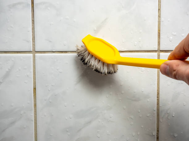 Best Health and Safety Mold Remediation in Dexter, MI