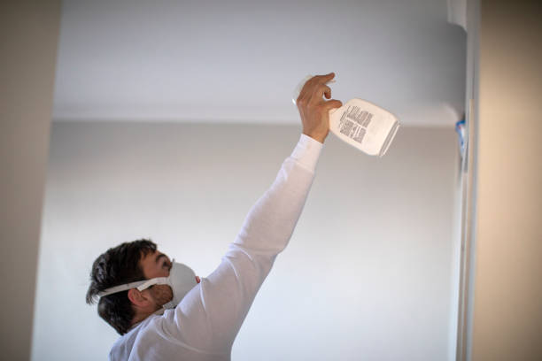 Best Kitchen Mold Remediation in Dexter, MI